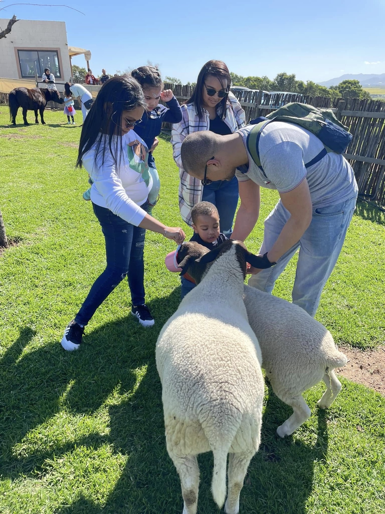 Farm fun